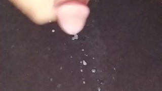 Quick cam clip