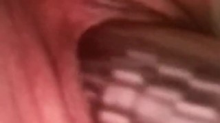 Pussy Teasing, Dildo Pleasing