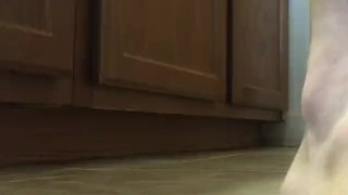 Giant walks over and squishes object repeatedly