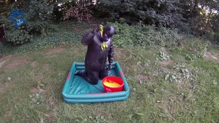 Puppy's outdoor Gunge'n'Paw in full rubber