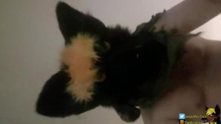 [ Short Clip ] Daddy Jackal sits on your face, wanting that tongue fucks