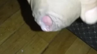 Quick cum