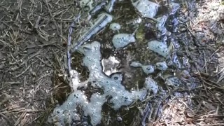 Outdoor pee desperation female POV, piss puddle