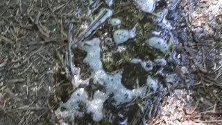 Outdoor pee desperation female POV, piss puddle