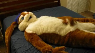 A Cabbit showing off and playing with himself