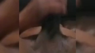 Mr. GA NUTTING HARD BLACK THICK LONG COCK