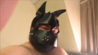 pipe puffin pup quikie