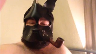 pipe puffin pup quikie