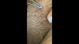 Plump Pubic Pussy Pluck