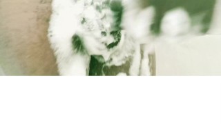 DICK STILL HARD AFTER NUT #2