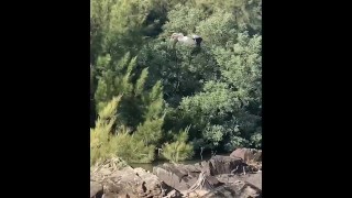 Island in Middle of River - Nude Exploration & Pelican Flypast