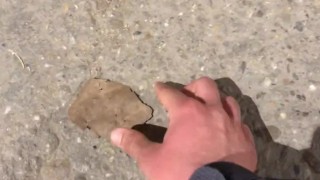 Helping out  bugs get back on their feet