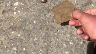 Helping out  bugs get back on their feet