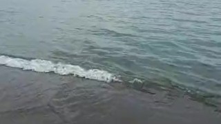 Pee desperation public beach female POV