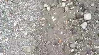 Pee desperation public beach female POV