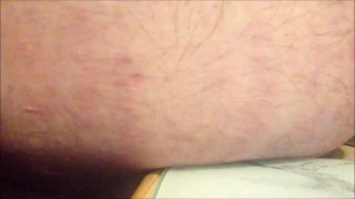 closeup piggy squishin