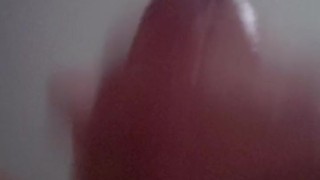 Evening Nut