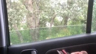 Selfsuck не состоялся