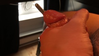 THE DICKS ARE ALIVE TO THE SOUND OF MY COCK : THE MOVIE