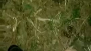 Masturbating In The Woods While Camping