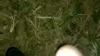 Masturbating In The Woods While Camping