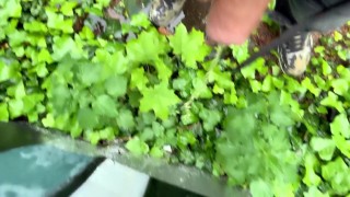 Close up outdoor piss on a wall