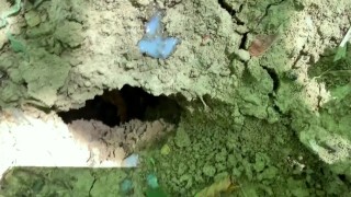 Public cumshot into hole on a ground outdoor