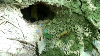 Public cumshot into hole on a ground outdoor