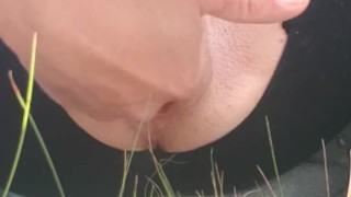 Little W. Kitty Masturbates in Public Behind a Bush!
