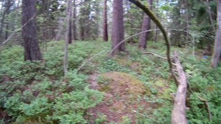 Fucking my new fleshlight nude outdoors/forest