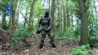 Flecktarn Pup wichst im Wald