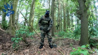 Flecktarn Pup wichst im Wald
