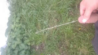 Peeing in the backyard.