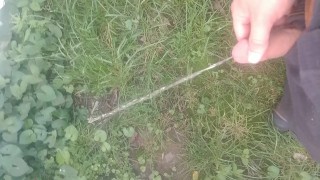 Peeing in the backyard.