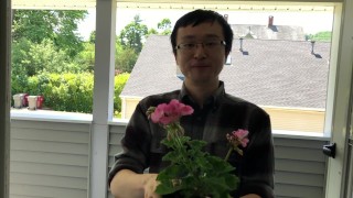 I buy some flowers for you because it's a nice gesture