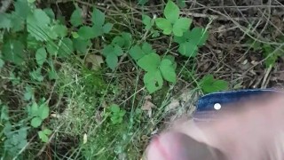 Spontaan geil in het bos