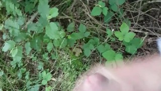 Spontaan geil in het bos