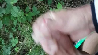 Spontaan geil in het bos