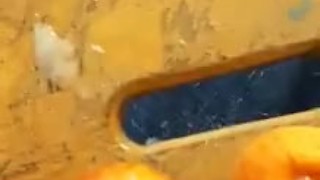 Sperma - cumshot On Apple