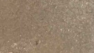 Feet in the sand and water