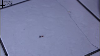 Giantess Stomps Tiny Men Barefoot