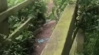 Naked on woodland path