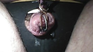 Electro torture my tiny worthless penis