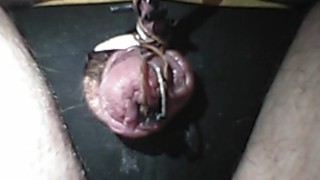 Electro torture my tiny worthless penis