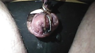 Electro torture my tiny worthless penis