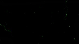 Multiple Orgasm Masturbatuion (Teaser)
