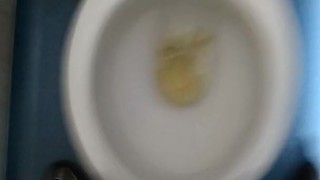 Having A Piss And Wank In Public Toilet
