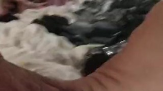 Petite milf girlfriend deepthroats every inch of his young big dick