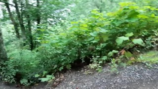 Peeing On The Bench Along The Path