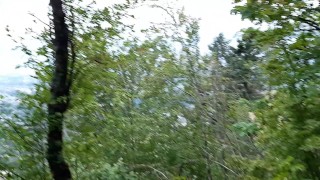 Peeing On The Bench Along The Path
